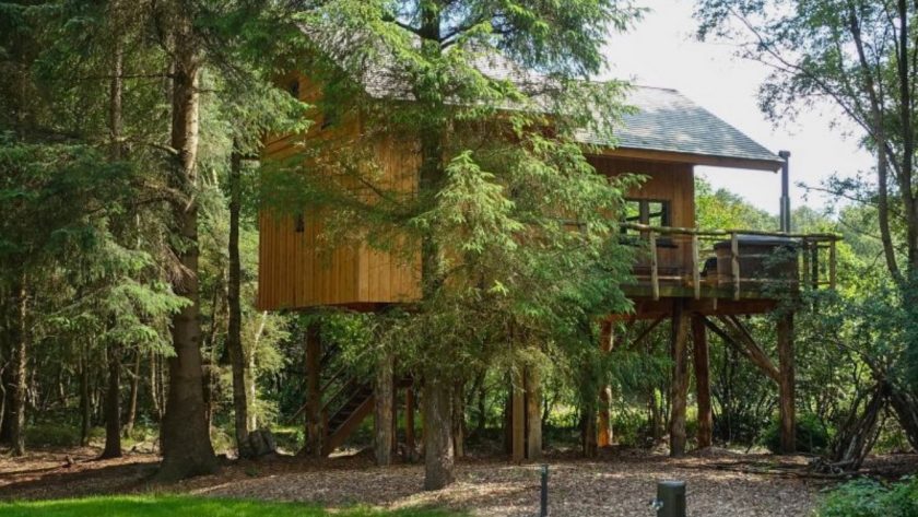 Boomhut Ruinen, NP Dwingelderveld