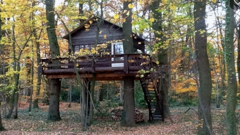 Eenvoudige boomhut De Lutte