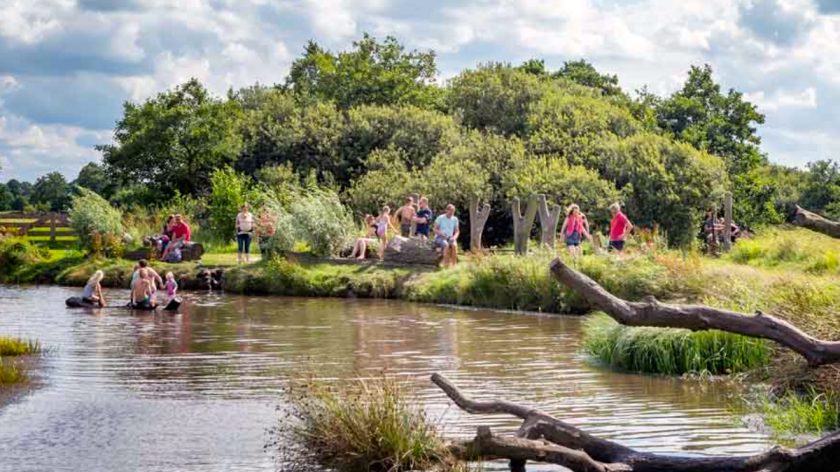 Blotevoetenpad Opende Staatsbosbeheer, kinderen spelen in het water