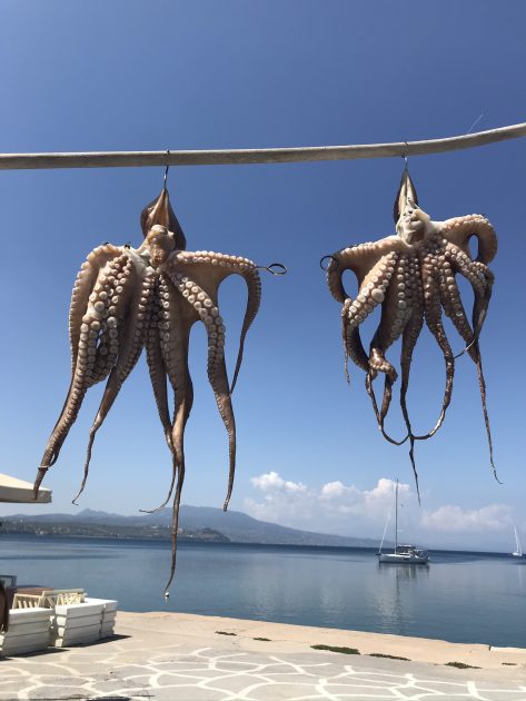 Koroni op de Peloponnesos, Griekenland, octopus dat te hangt te drogen