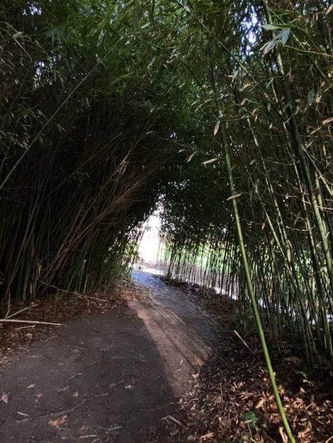 Wandelen over Klompenpad het Stoutenburgerpad