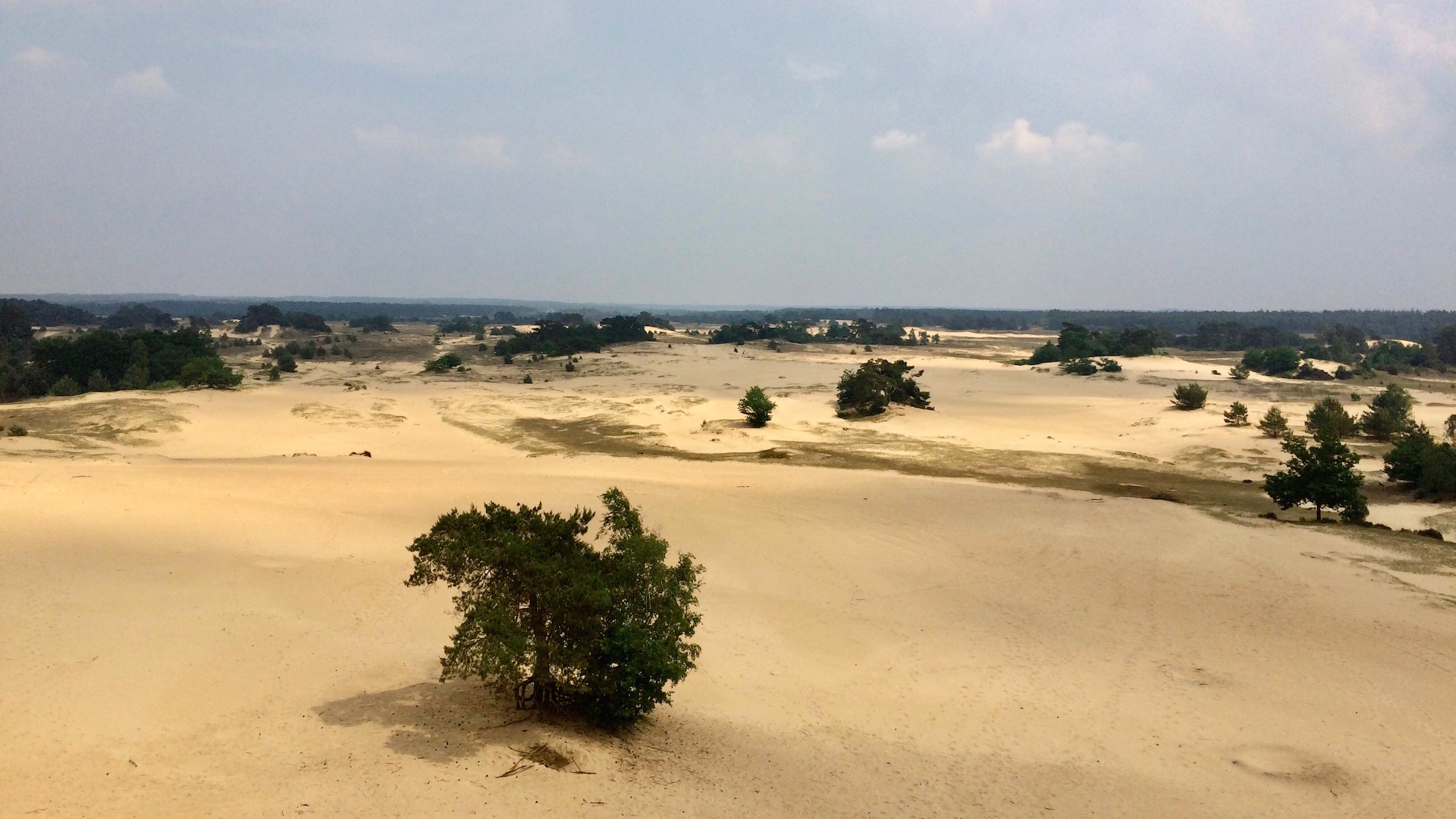 Verrassend mooie plekken en natuurgebieden in Nederland - Kootwijkerzand, Kootwijk