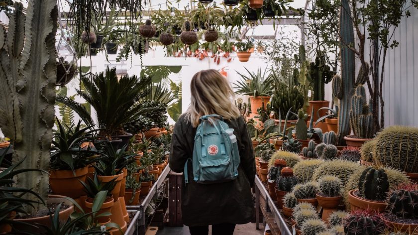 Inpaklijst voor een dagje weg: wat neem ik mee in mijn rugzak?