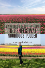 tulpenfestival Noordoostpolder Flevoland