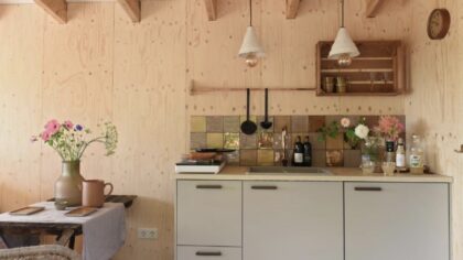 Smûk Tiny Echtenerbrug Friesland keuken