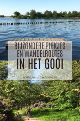 Het Gooi 3