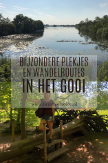 Het Gooi 4