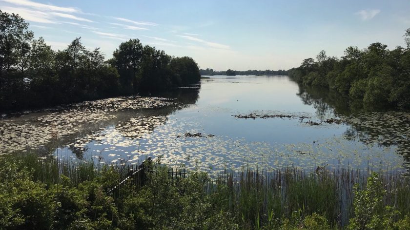 Vogelkijkhut, tussen beide plassen 