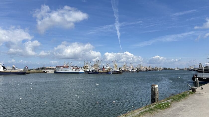 De haven van Lauwersoog, Lauwersmeer