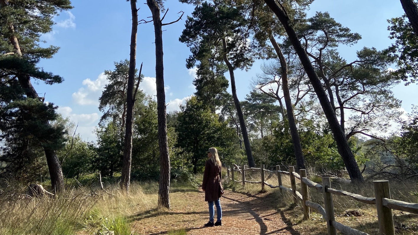Den Treek, Leusden, Nederland