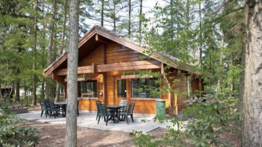 Scandinavische huisjes in Nederland - Fins boshuis in Otterlo in de zomer