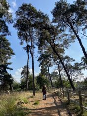 Wandelen Landgoed Den Treek-Henschoten
