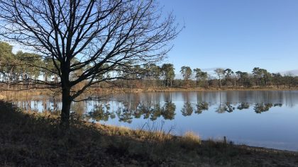 Wandelen Landgoed Den Treek-Henschoten
