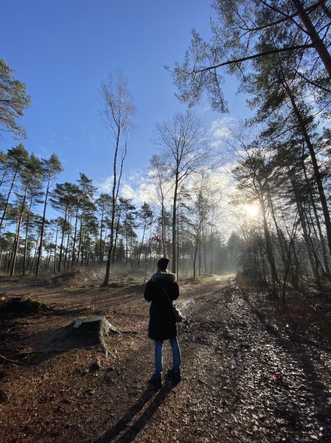 Landgoed Den Treek-Henschoten winter Irene