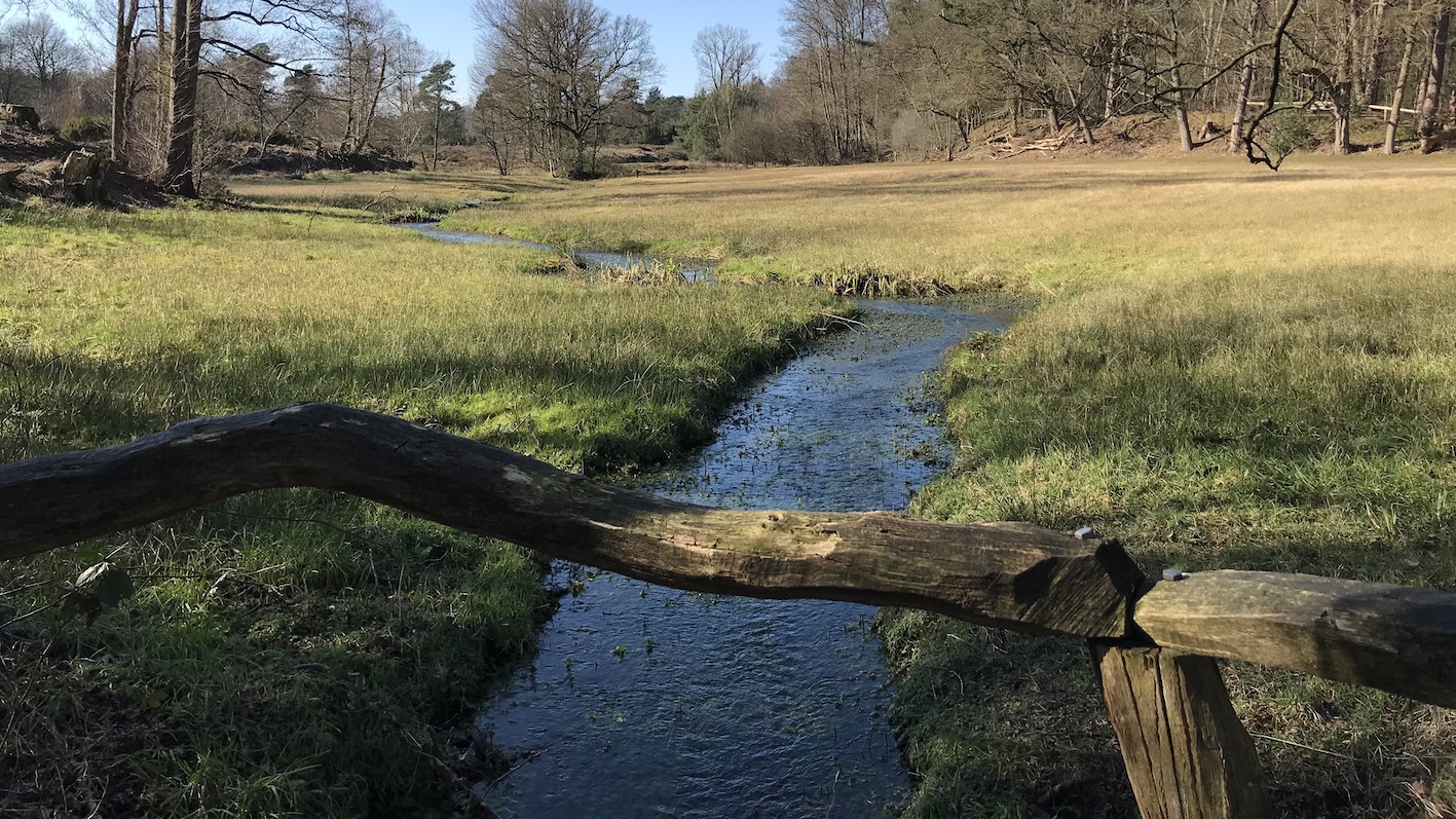 Wandelen Bronnenroute in het Springendal Twente - wandelroute