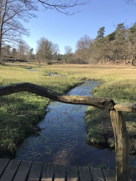 Bronnenroute Springendal in Twente vlonderpad beekje