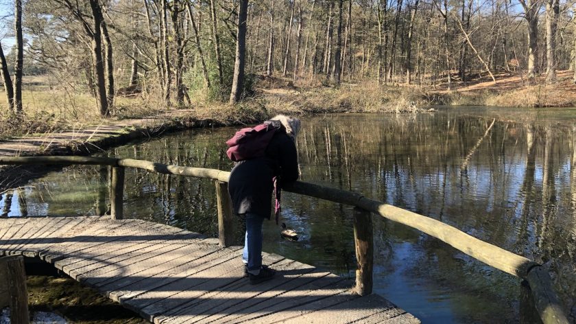Bronnenroute in het Springendal vlonderpad