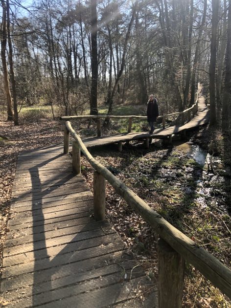 Bronnenroute Springendal vlonderpad