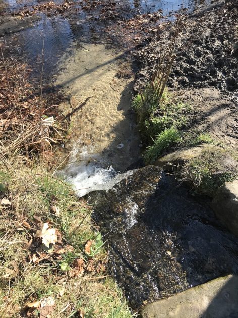 Wandelroute Springendal beekje 3