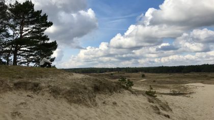 Wandelen op de Veluwe: Planken Wambuis & Valenbergroute bij Otterlo, Mosselse Zand