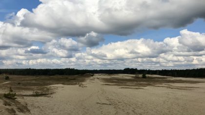 Wandelen op de Veluwe: Planken Wambuis & Valenbergroute bij Otterlo