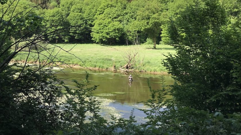 Balade sur les River - Vliegvissen in de Semois