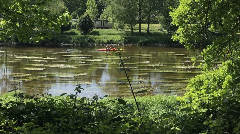 Balade sur les rives, Semois, Belgische Ardennen kano