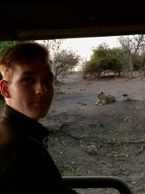 Safari in Chobe National Park in Botswana Boy leeuw