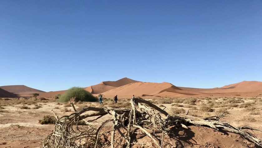Deadvlei Big Daddy Dune Namibië