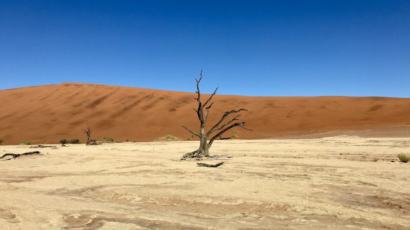 Praktische informatie Namibië, Deadvlei Sossusvlei