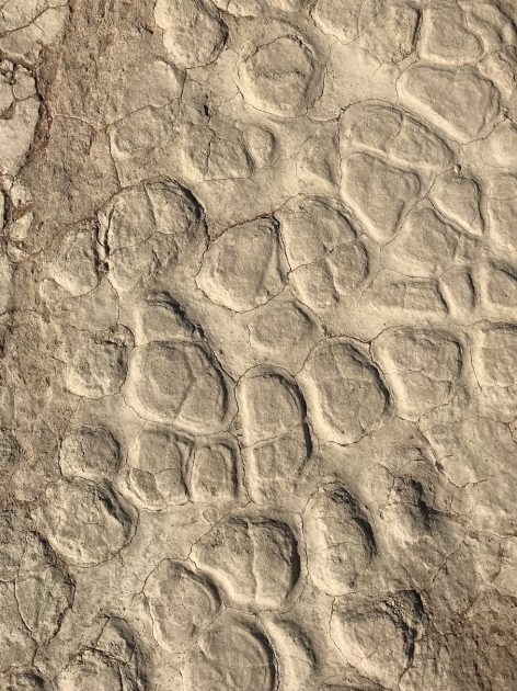 Deadvlei Sossusvlei Namibië ground