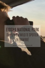 Etosha National Park de plek om wild te spotten in Namibië - Boy