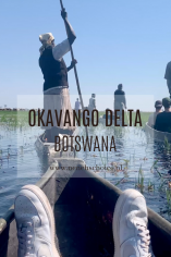 Doen in de Okavango Delta in Botswana - varen in een mokoro