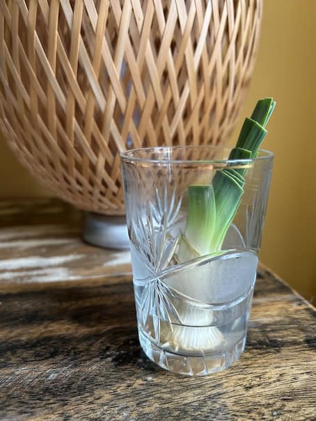 Groenten hergebruiken prei kweken