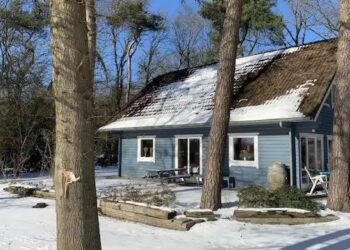 Fins boshuisje in Norg, natuurhuisje in Drenthe