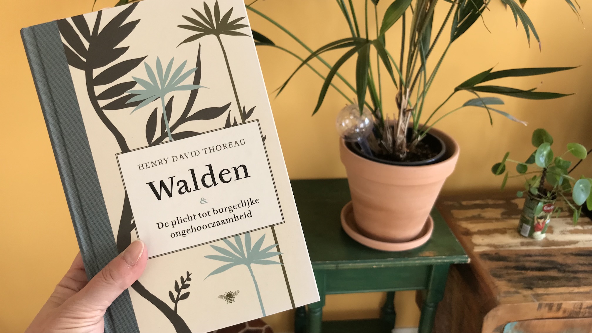 Walden en De plicht tot burgerlijke ongehoorzaamheid - Walden Henri David Thoreau - levenslessen