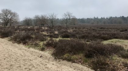 Ermelose Heide