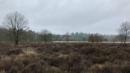 Schaapskooi Ermelose Heide