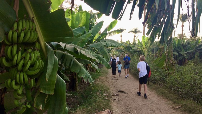 Doen in Luxor in Egypte - Bananeneiland bezoeken