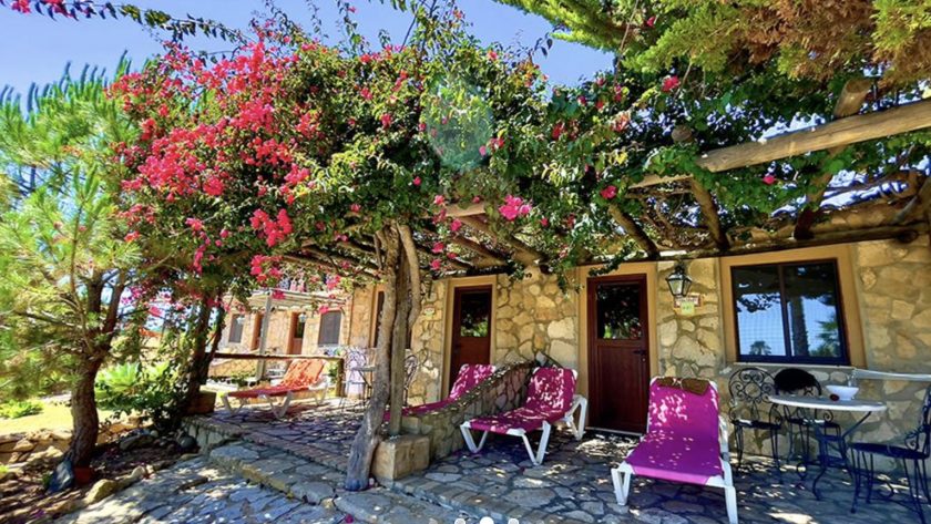 Quinta do Mar, Praia da Luz Algarve, bougainvillea