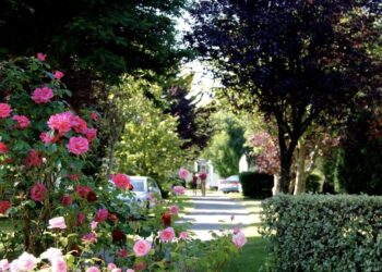 Camping Raguenes Plage in Bretagne kampeerplek