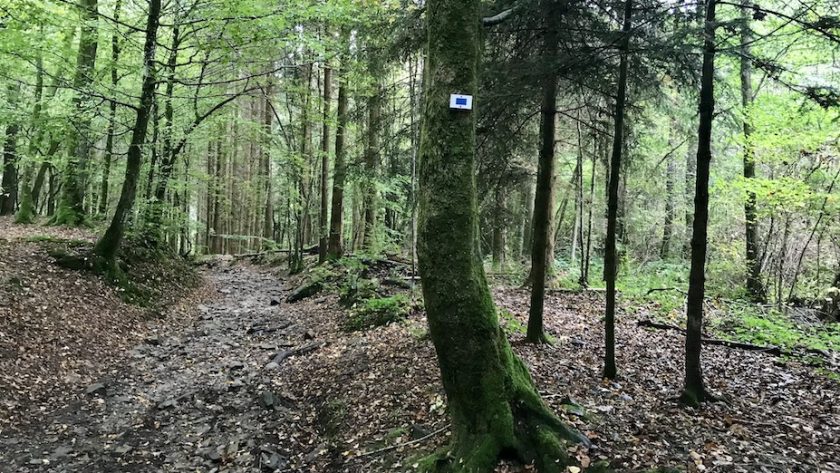 Wandelen van Maissin naar Redu wandelroute bordje