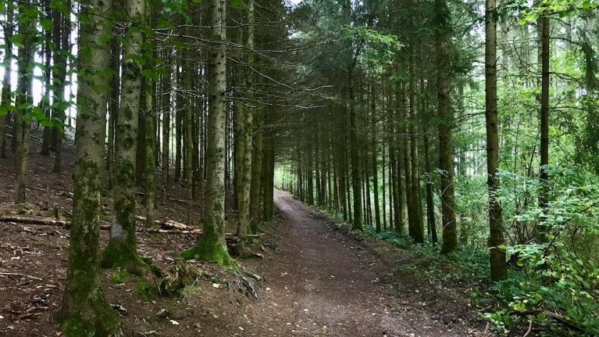 Maissin Redu wandelroute geitenpaadje
