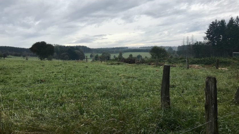 Maissin Redu wandelroute weilanden