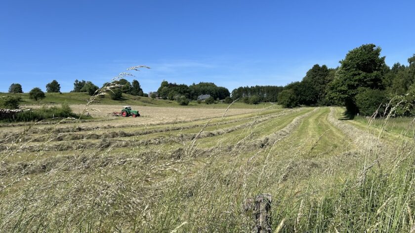 Wandelen van Maissin naar Redu in de zomer - trekker op het land