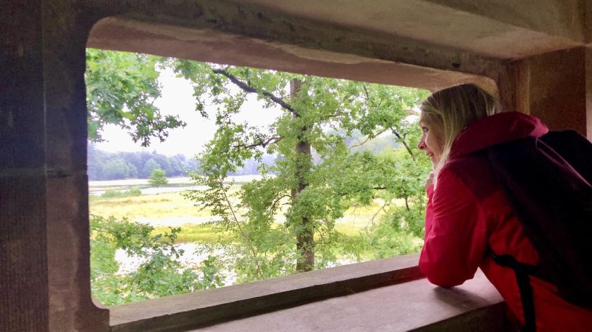 Het Nationale Park de Hoge Veluwe Irene vogelkijkhut