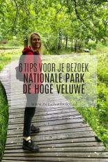 Wat te doen in het nationale park de hoge veluwe tips