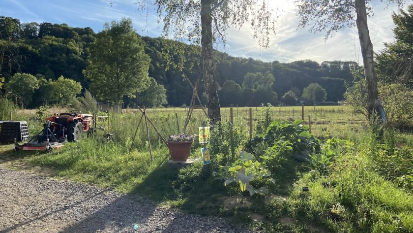 Camping Les Murets Esneux België moestuin