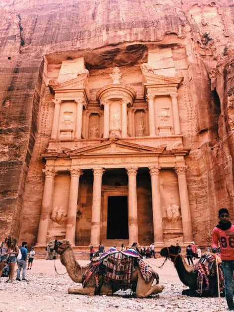 Petra Jordanië dromedaris