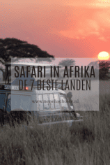 Safari in Afrika Serengeti Tanzania